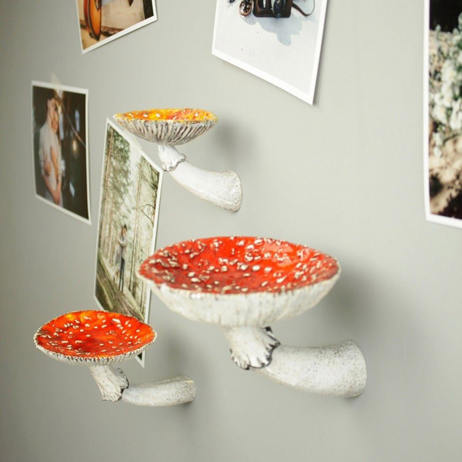 Floating Shelves - Rak dinding gantung jamur Resin, 2024