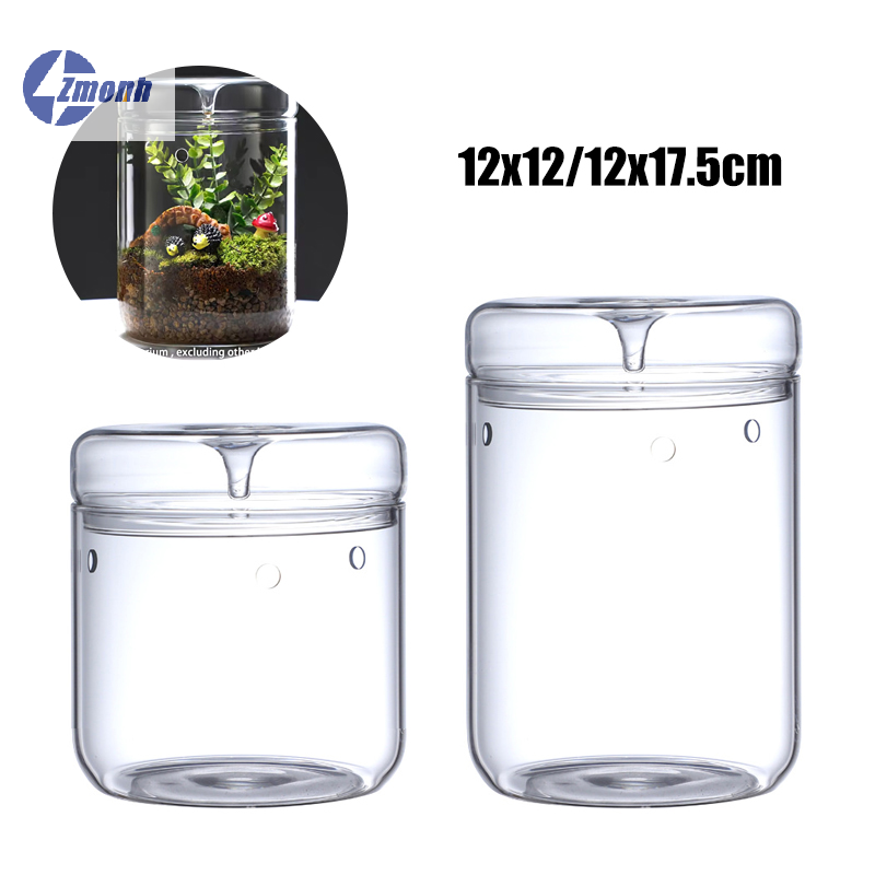 Terrarium Glass Bottle - Baru! Botol Kaca Lanskap Mikro Kreatif,
