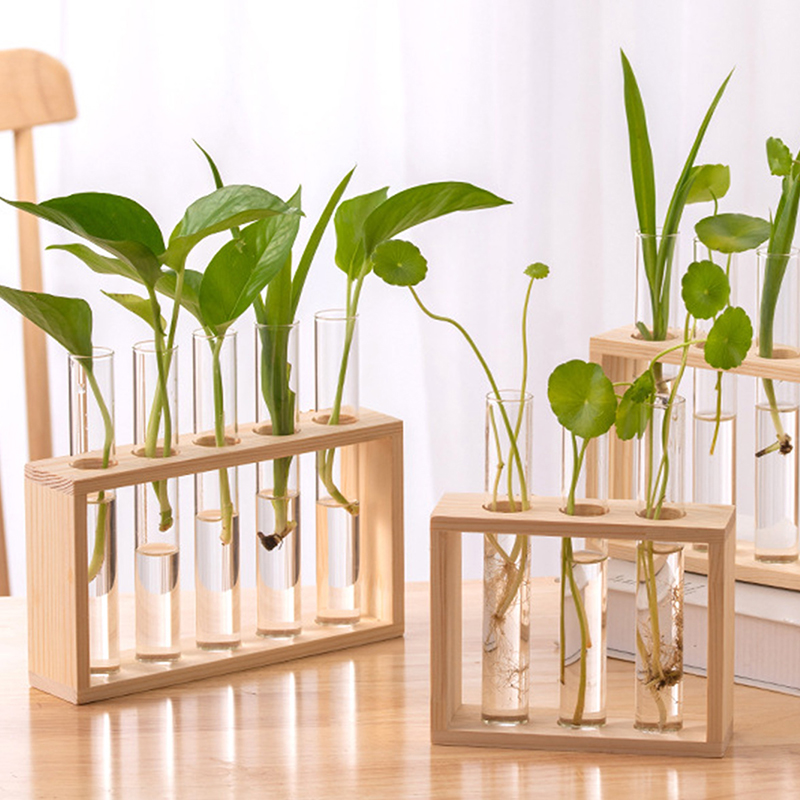 Terrarium Glass Bottle - Wadah tanaman hidroponik dengan bingkai kayu,