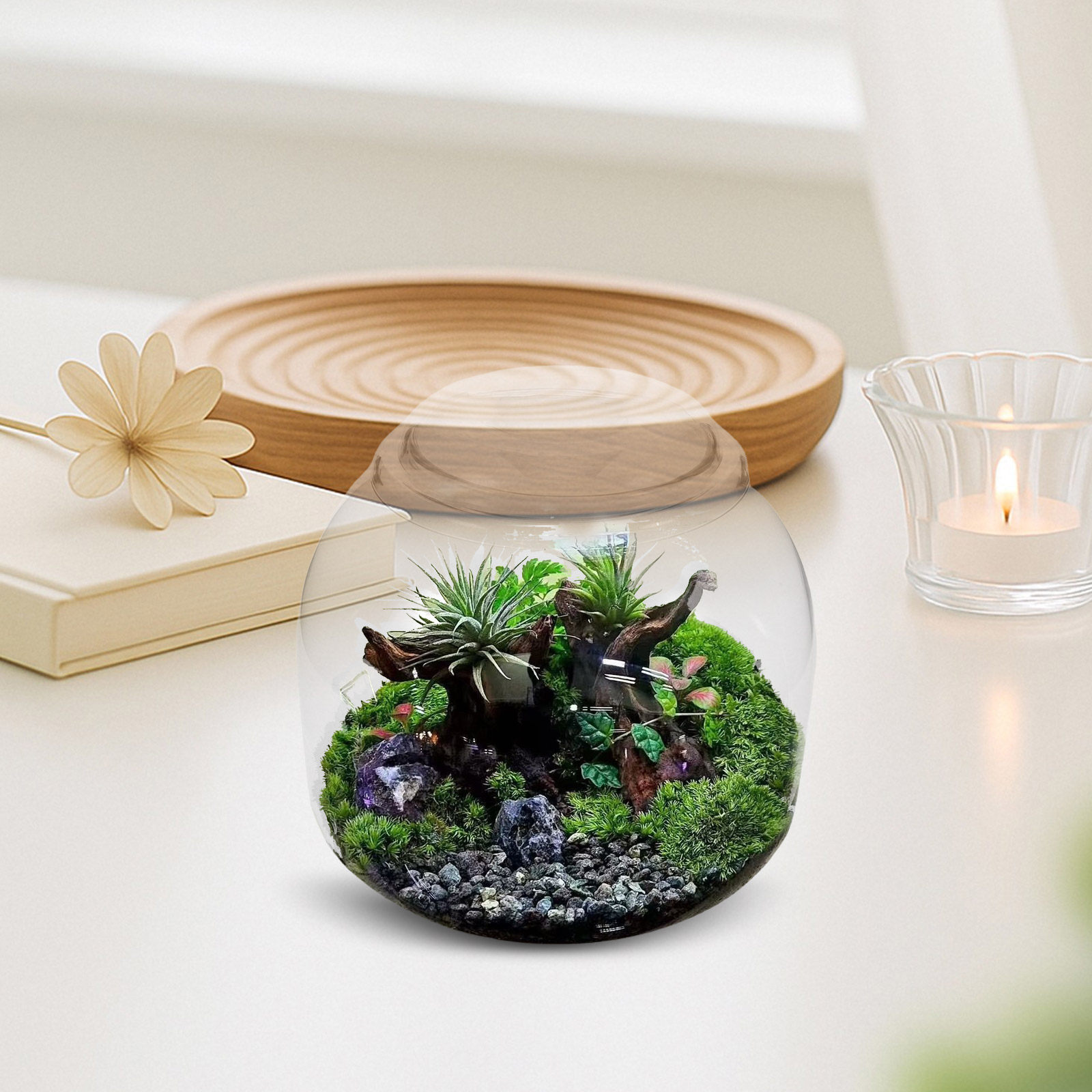 Toples Terrarium Kaca dengan T - Terrarium Glass Bottle ulasan dan harga