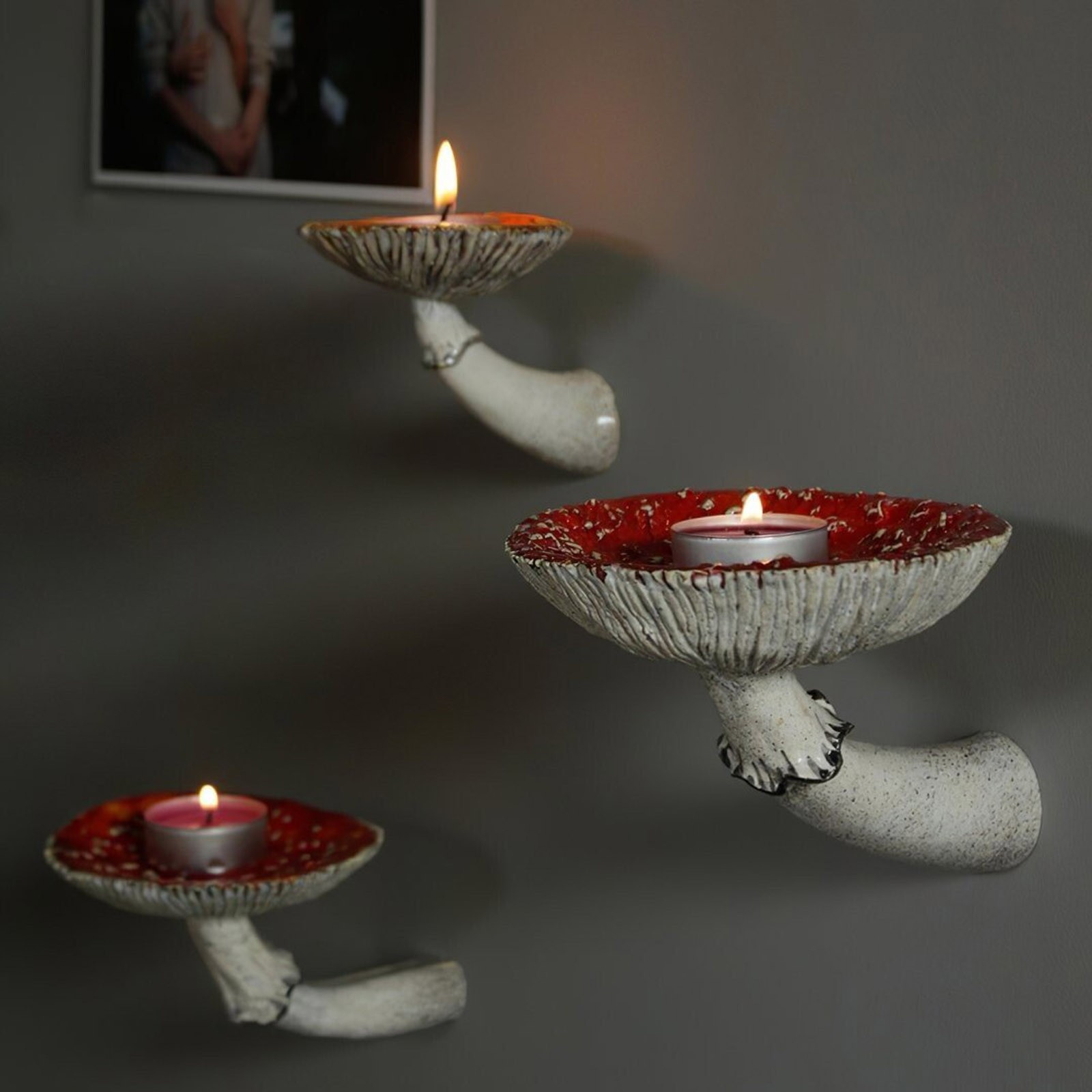 Rak dinding gantung jamur Resi - Floating Shelves ulasan dan harga