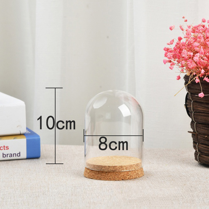 Penutup kubah kaca untuk bunga - Terrarium Glass Bottle ulasan dan harga