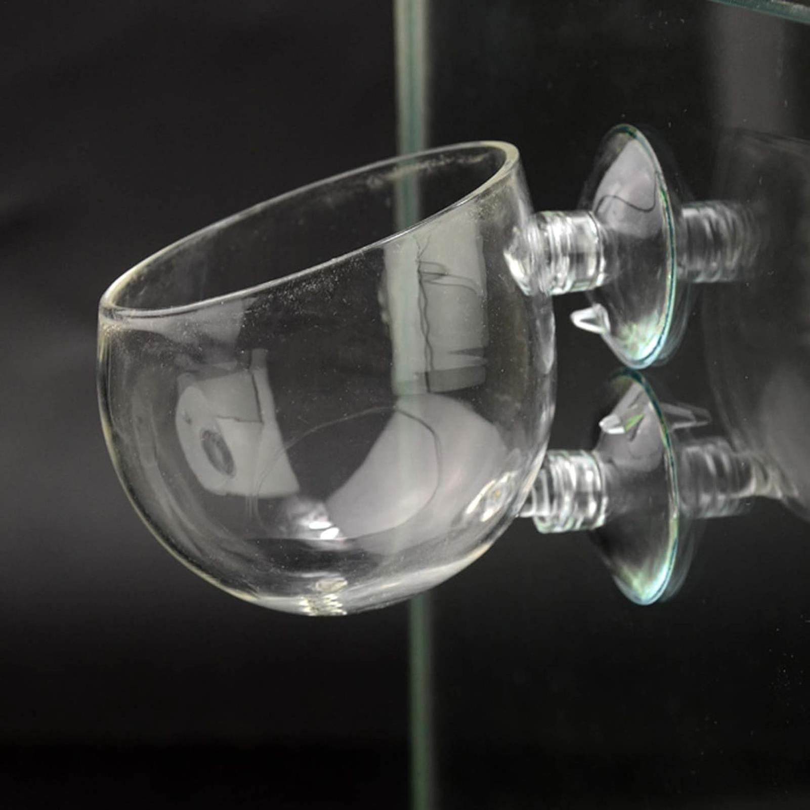 Tempat Tanaman Akuarium Kaca d - Terrarium Glass Bottle ulasan dan harga