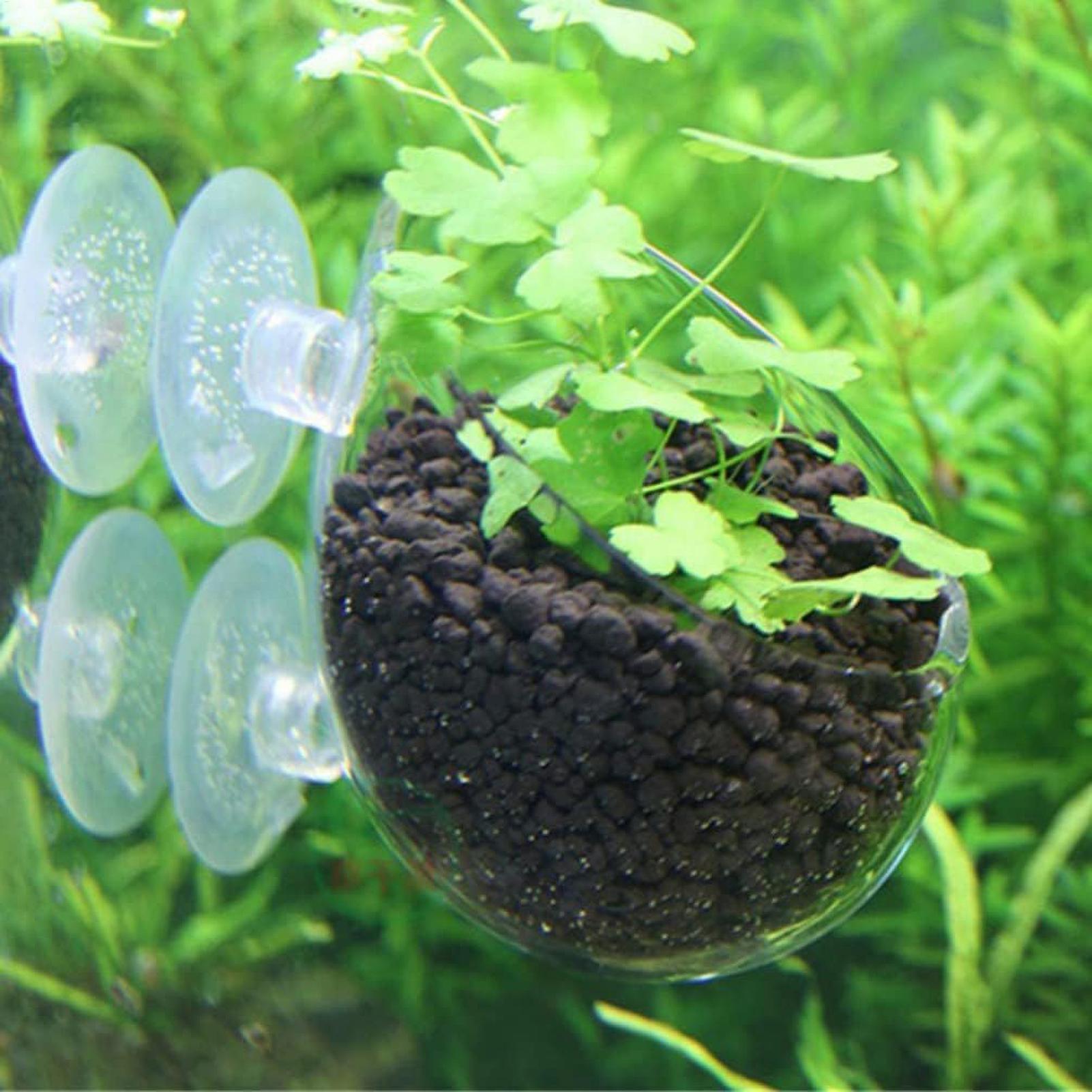 Tempat Tanaman Akuarium Kaca d - Terrarium Glass Bottle ulasan dan harga