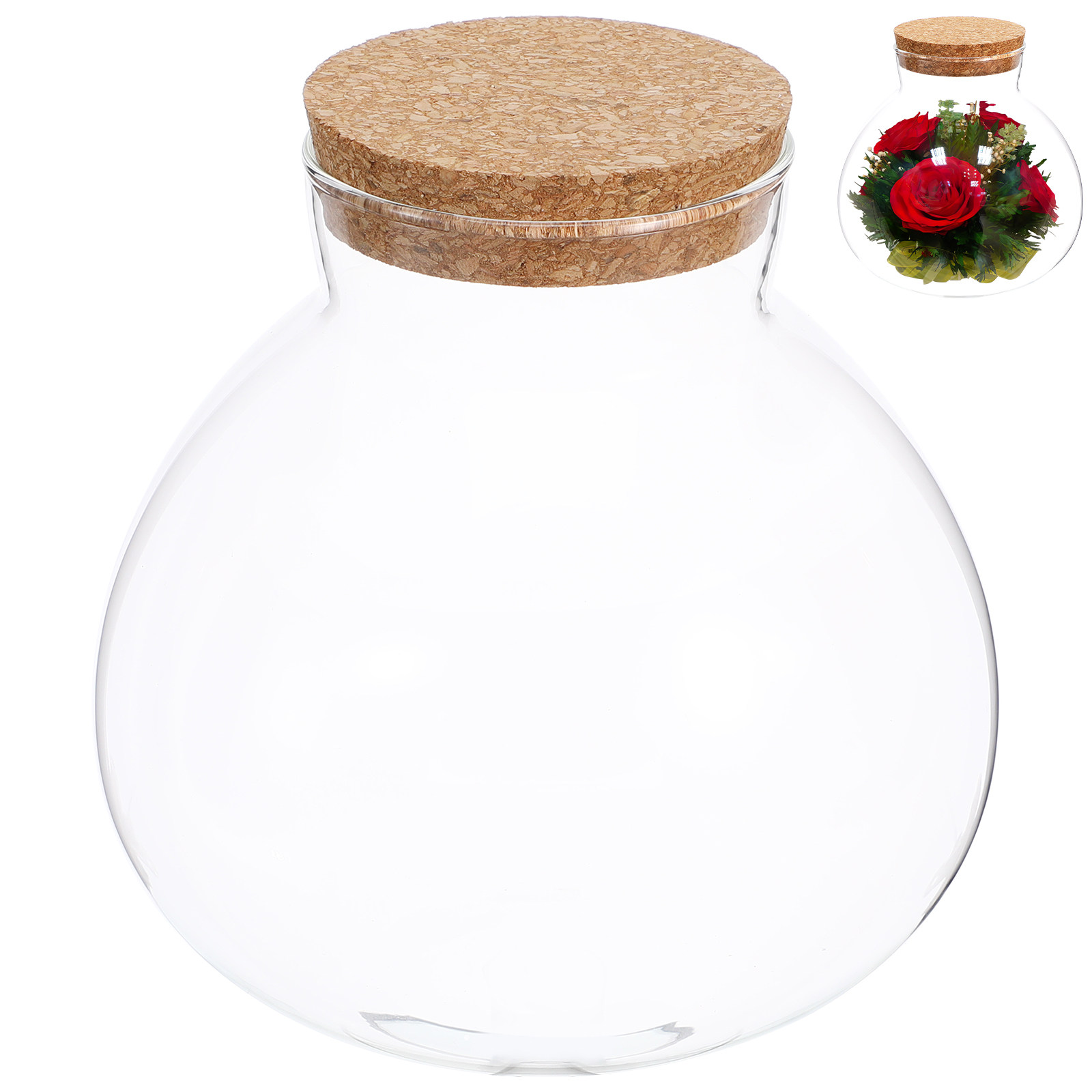 Botol Terarium Kaca Ekologis 1 - Terrarium Glass Bottle ulasan dan harga