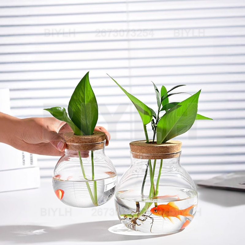 Vas Kaca Tanaman Hidroponik de - Terrarium Glass Bottle ulasan dan harga