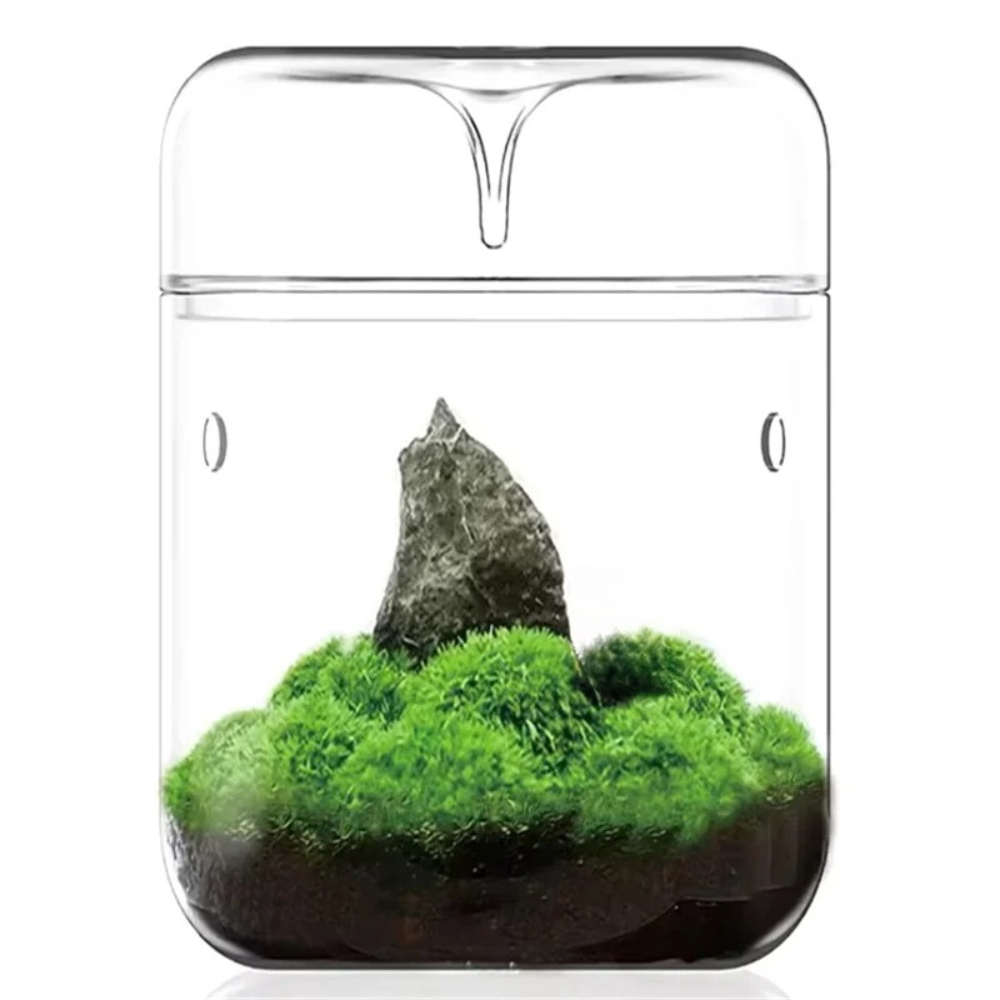 Botol pajangan mikro lanskap k - Terrarium Glass Bottle ulasan dan harga