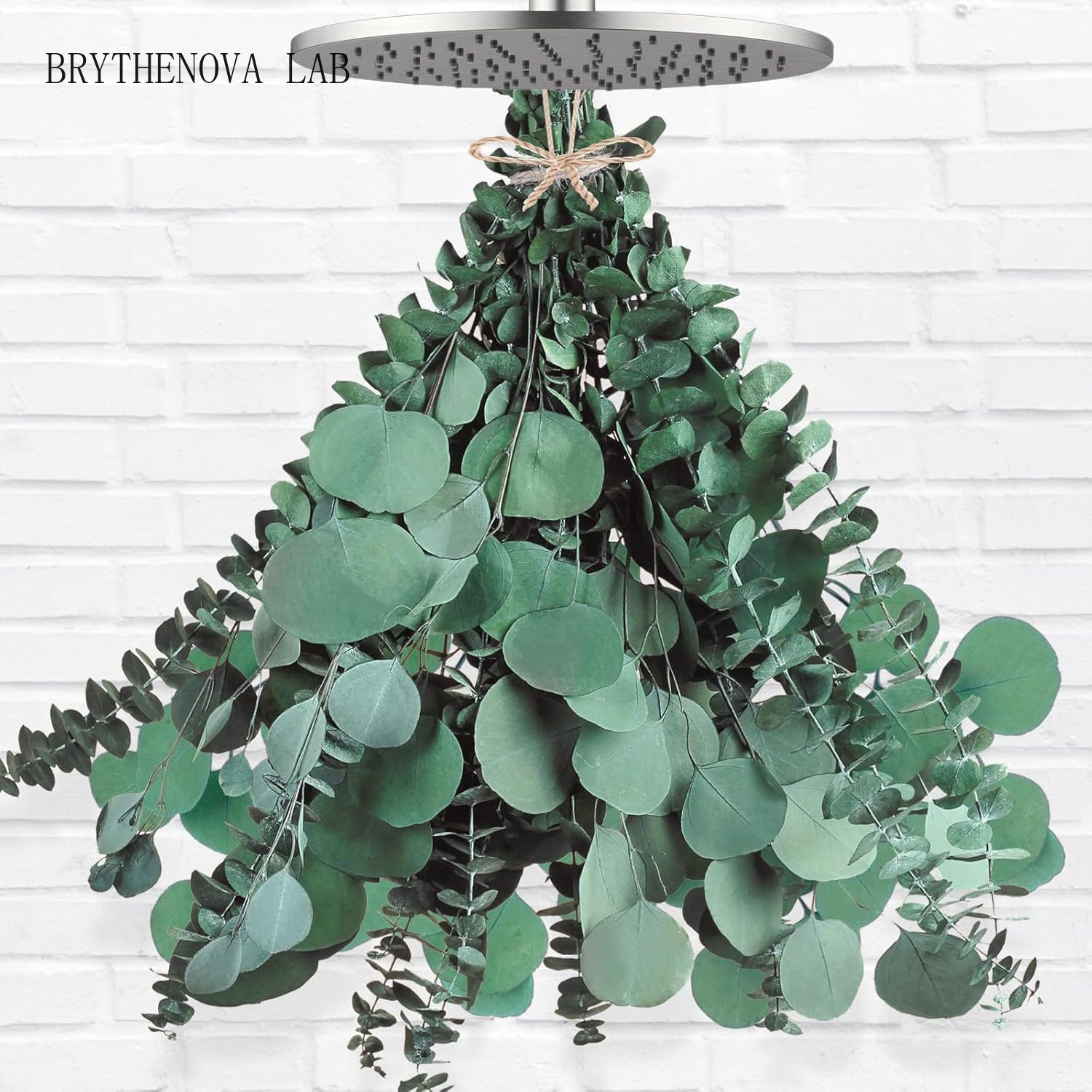 12 Pcs Daun Eucalyptus & Silve - Home Decor Garland ulasan dan harga