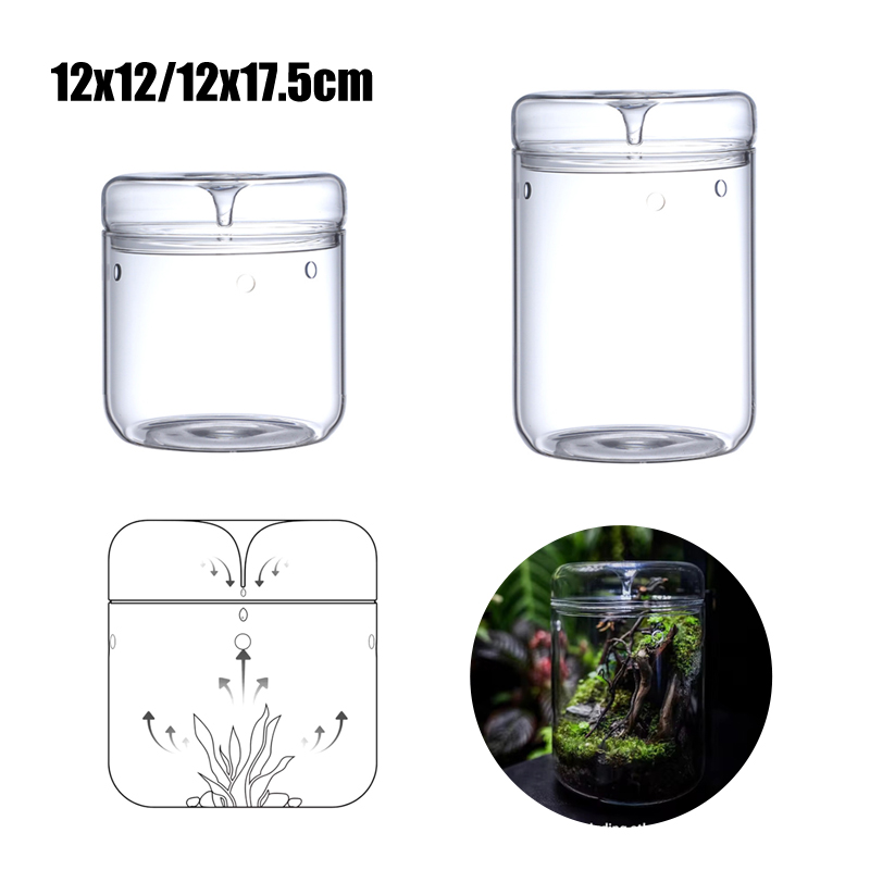 Baru! Botol Kaca Lanskap Mikro - Terrarium Glass Bottle ulasan dan harga