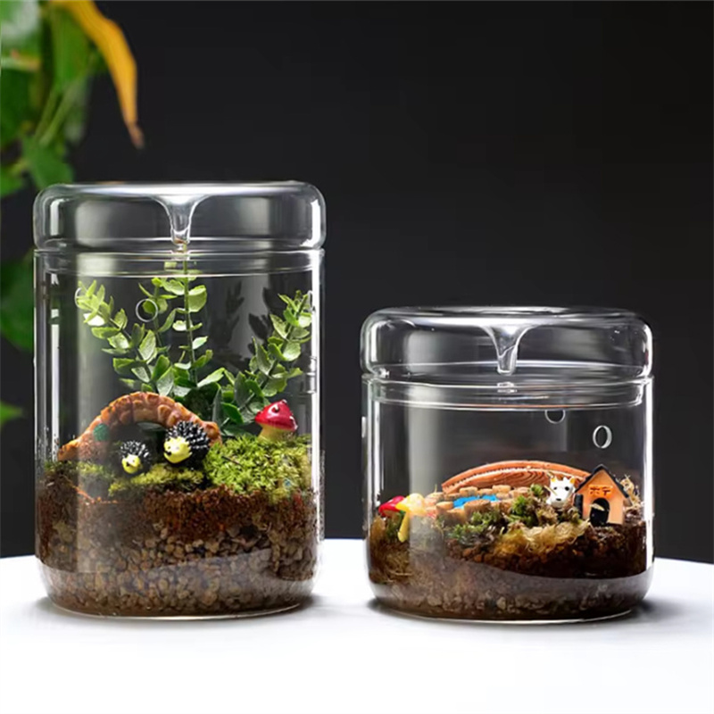 Baru! Botol Kaca Lanskap Mikro - Terrarium Glass Bottle ulasan dan harga
