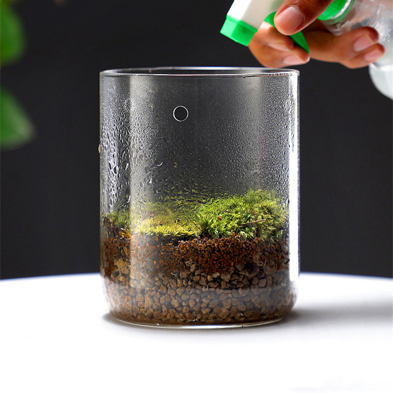 Baru! Botol Kaca Lanskap Mikro - Terrarium Glass Bottle ulasan dan harga