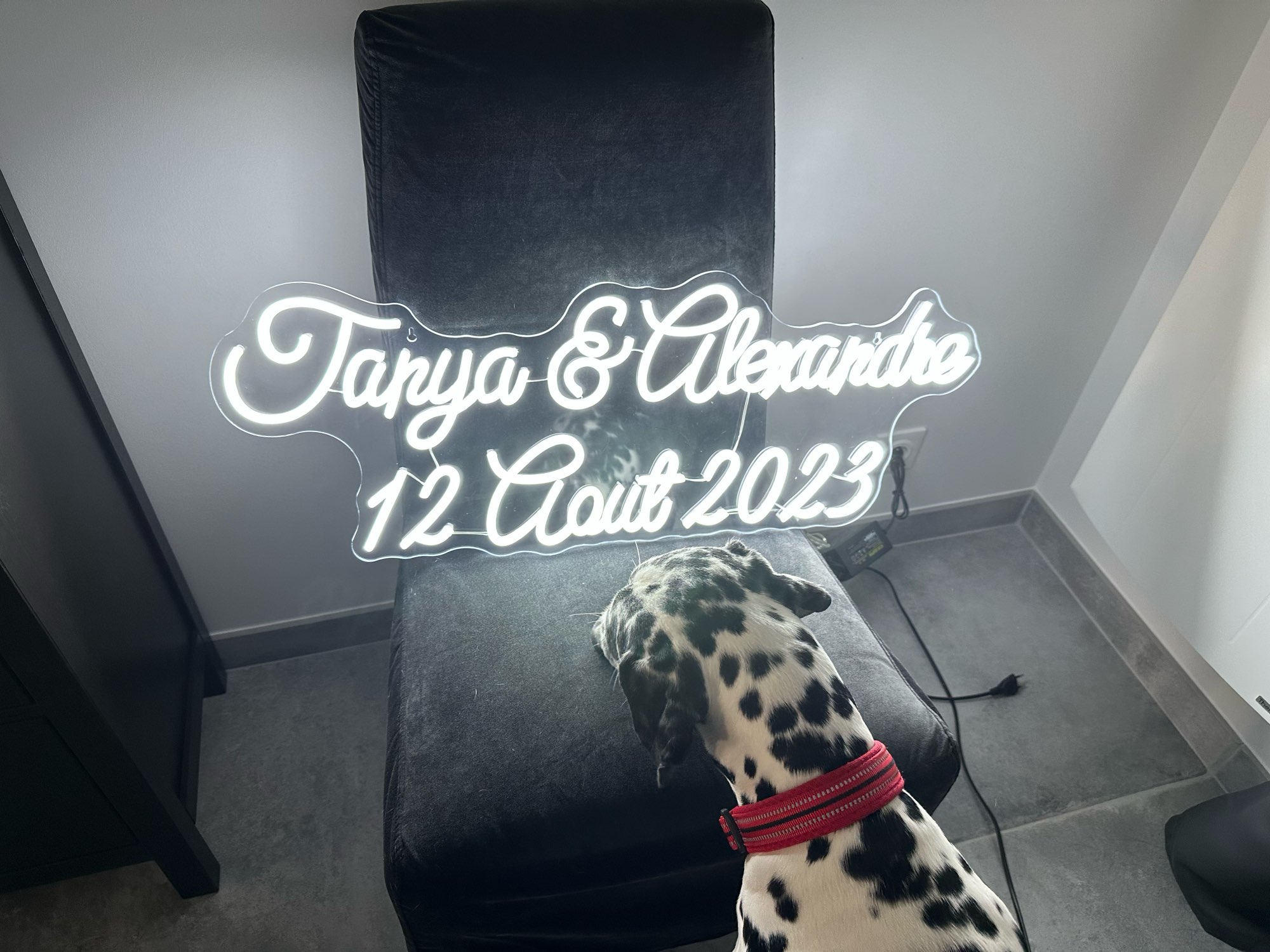 Tanda Neon kustom lampu Neon L - Home Decor Logo Design ulasan dan harga