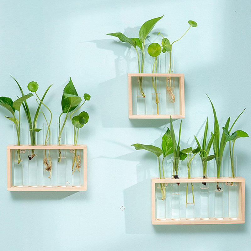 Wadah tanaman hidroponik denga - Terrarium Glass Bottle ulasan dan harga