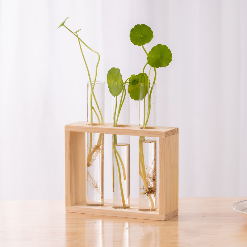 Wadah tanaman hidroponik denga - Terrarium Glass Bottle ulasan dan harga