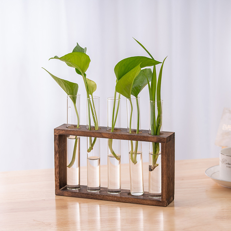 Wadah tanaman hidroponik denga - Terrarium Glass Bottle ulasan dan harga