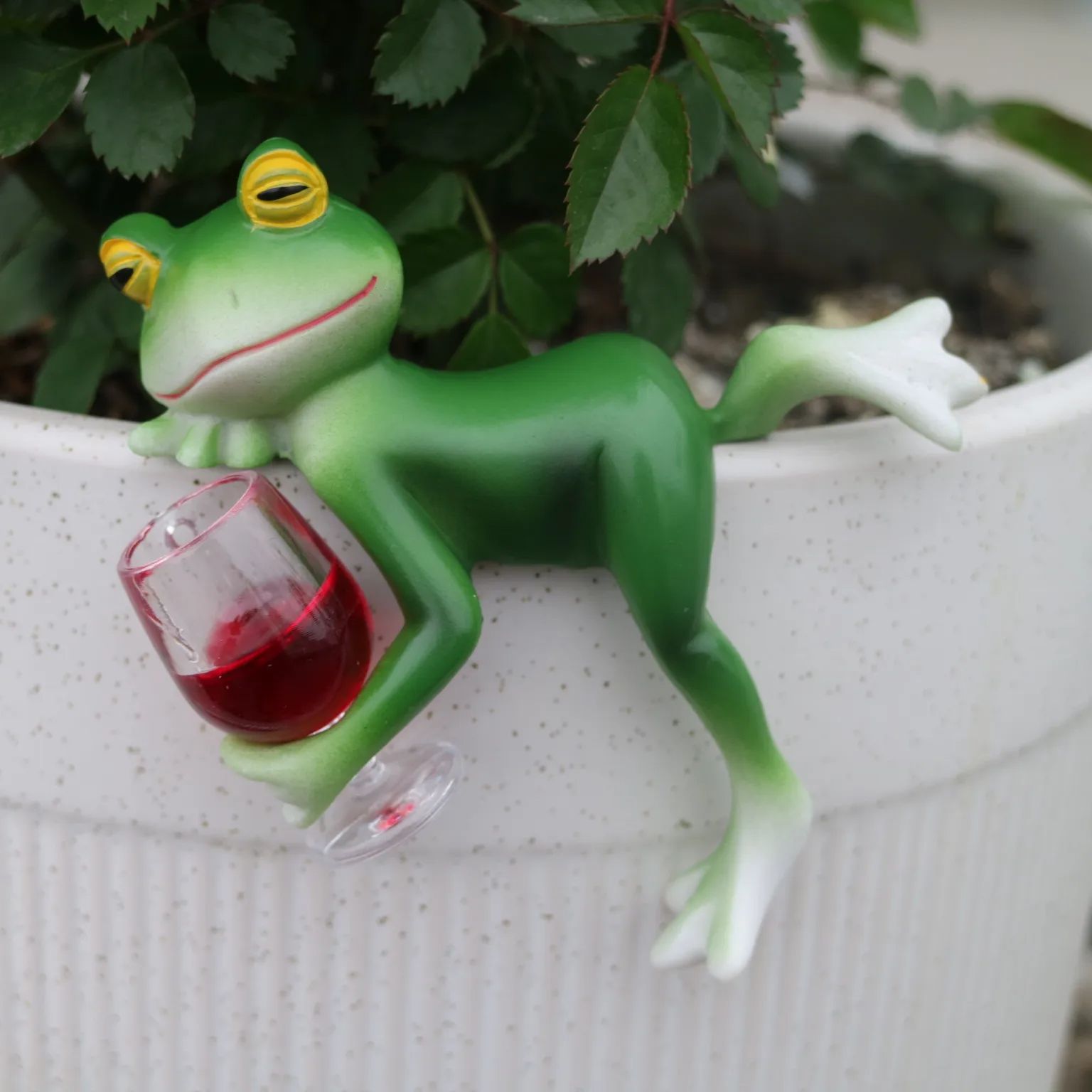 Ornamen katak hijau dan gelas  - Terrarium Glass Bottle ulasan dan harga